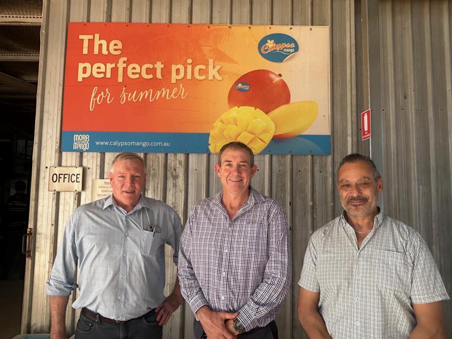 Australian Mango Industry Association CEO Trevor Dunmall, Minister Maley, Australian Mango Industry Association North Queensland board member John Nardi. Image: NT government