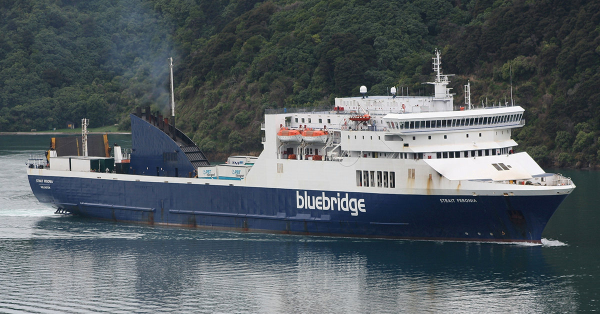 Cook Strait operator on the market